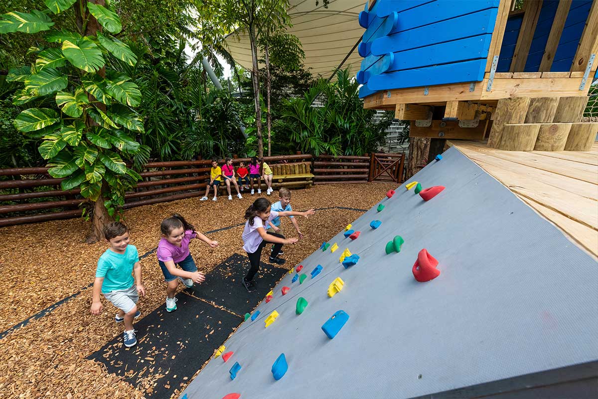 Jungle Island Playground