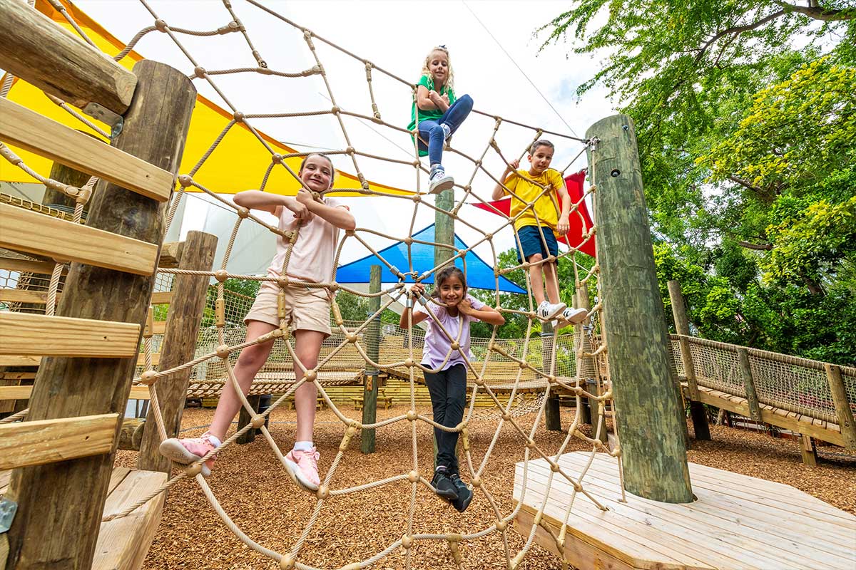 Jungle Island Playground