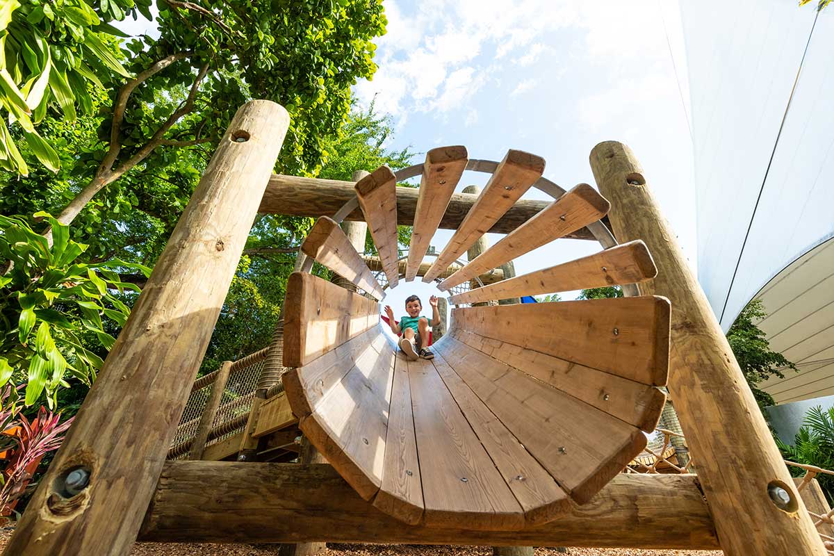 Jungle Island Playground