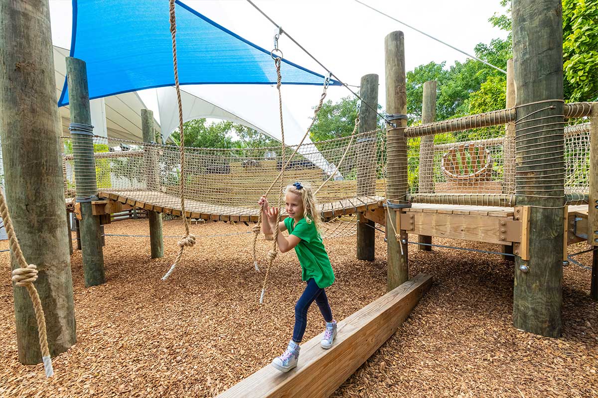 Jungle Island Playground